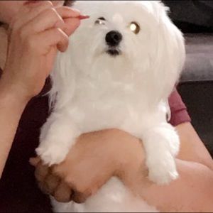 Meet your Posher, Jose